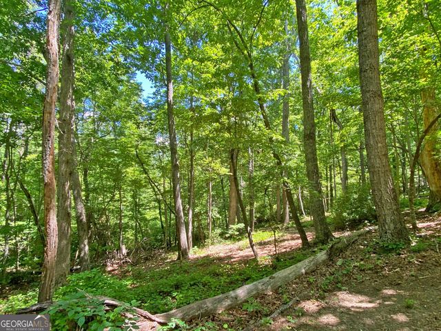 0 Hickory Nut Trail, Dahlonega, GA 30533