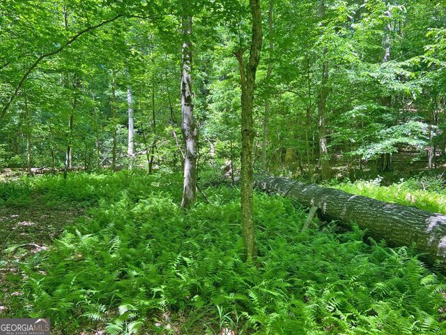 0 Hickory Nut Trail, Dahlonega, GA 30533
