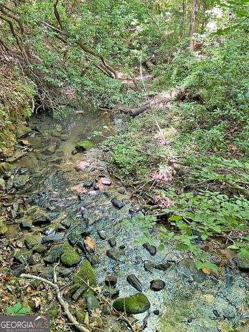 0 Hickory Nut Trail, Dahlonega, GA 30533