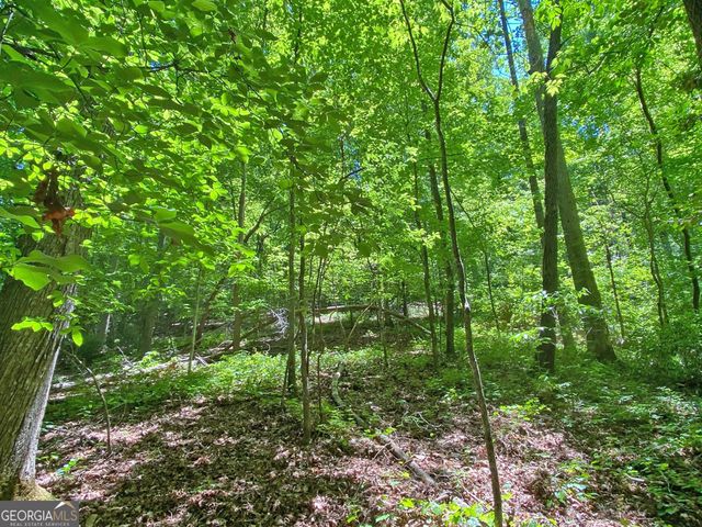 0 Hickory Nut Trail, Dahlonega, GA 30533