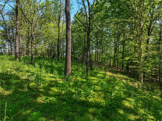 Lot 1 Summit Drive, Dahlonega, GA 30533