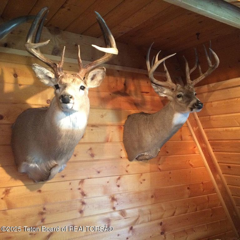 338 GAS HILLS Road, Riverton, WY 82501 photo 14