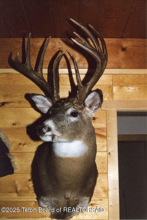 338 GAS HILLS Road, Riverton, WY 82501 photo 16