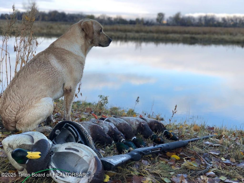 338 GAS HILLS Road, Riverton, WY 82501 photo 20