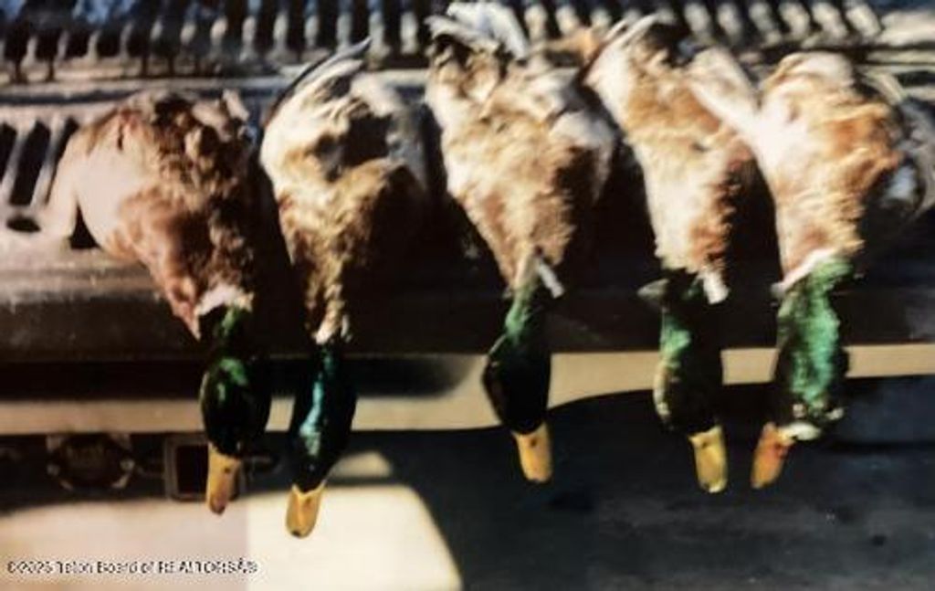 338 GAS HILLS Road, Riverton, WY 82501 photo 22