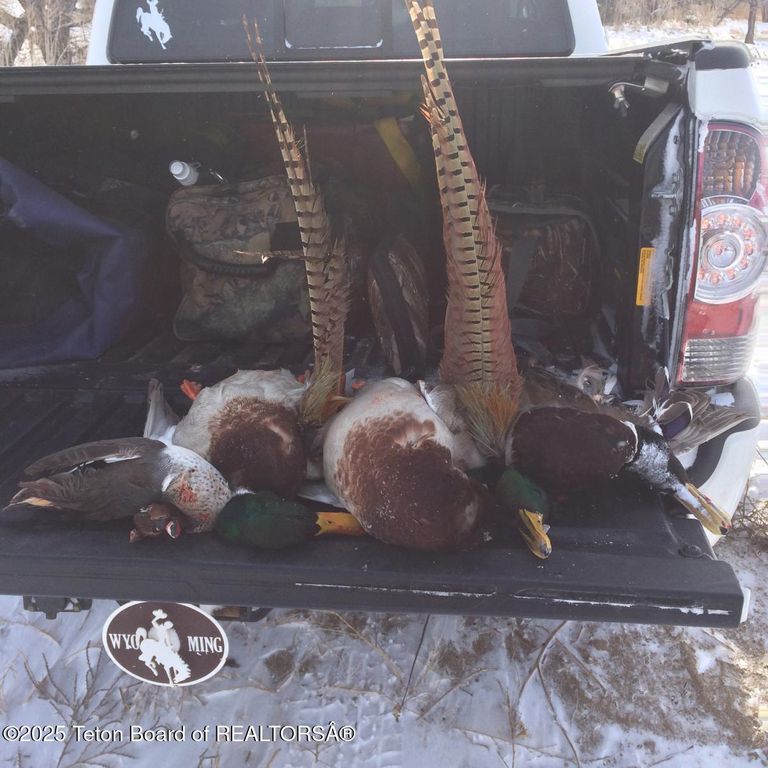 338 GAS HILLS Road, Riverton, WY 82501 photo 23