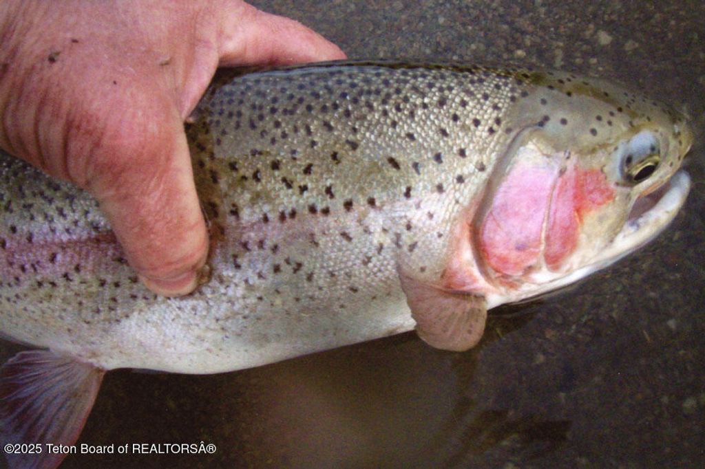 338 GAS HILLS Road, Riverton, WY 82501 photo 26