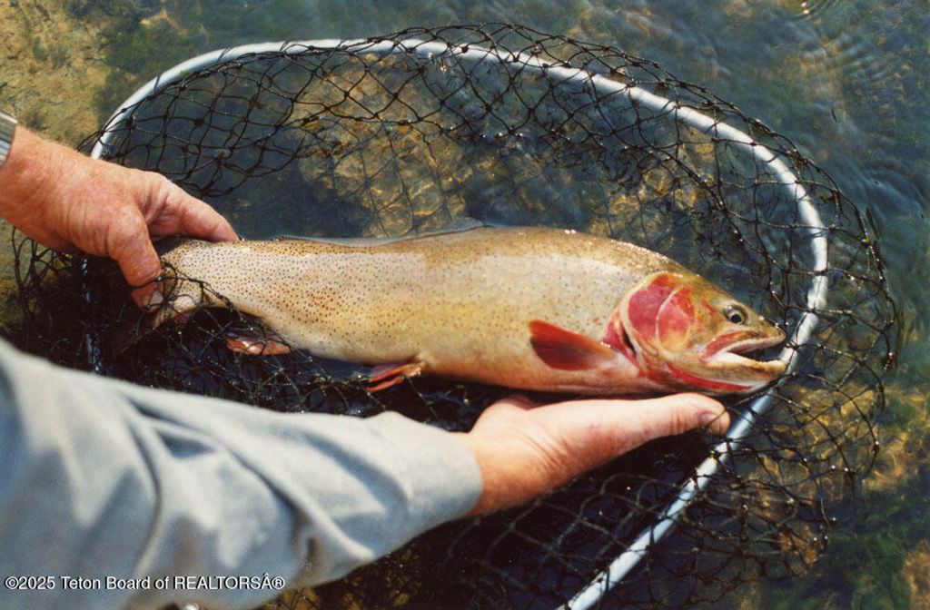 338 GAS HILLS Road, Riverton, WY 82501 photo 27