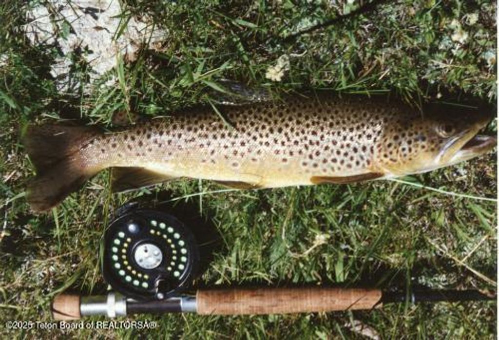 338 GAS HILLS Road, Riverton, WY 82501 photo 28