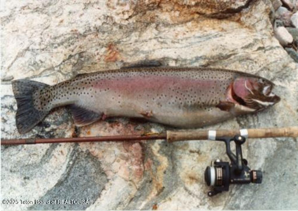 338 GAS HILLS Road, Riverton, WY 82501 photo 29