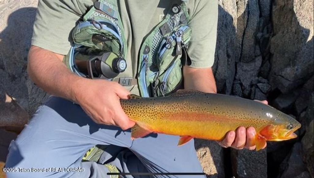 338 GAS HILLS Road, Riverton, WY 82501 photo 30