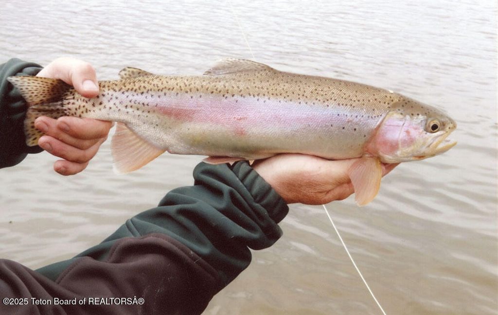 338 GAS HILLS Road, Riverton, WY 82501 photo 31