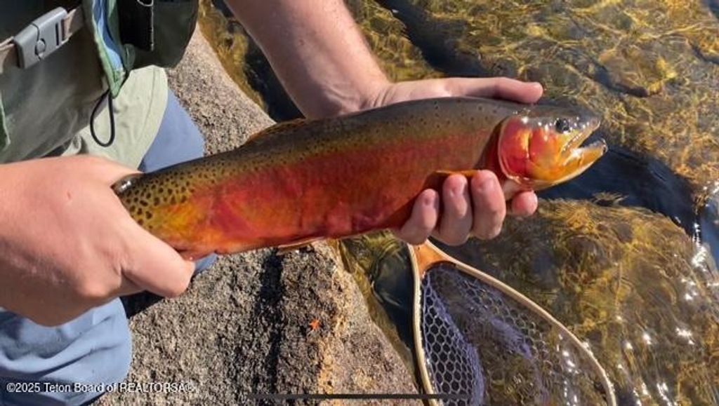 338 GAS HILLS Road, Riverton, WY 82501 photo 32