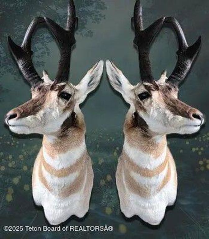 338 GAS HILLS Road, Riverton, WY 82501 photo 33