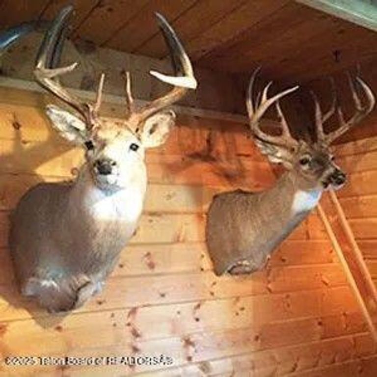 338 GAS HILLS Road, Riverton, WY 82501 photo 34