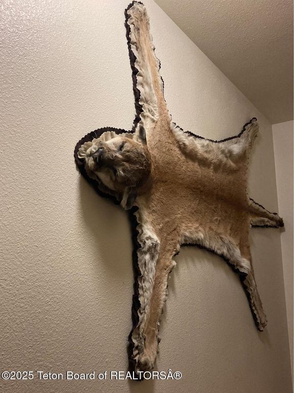 338 GAS HILLS Road, Riverton, WY 82501 photo 35