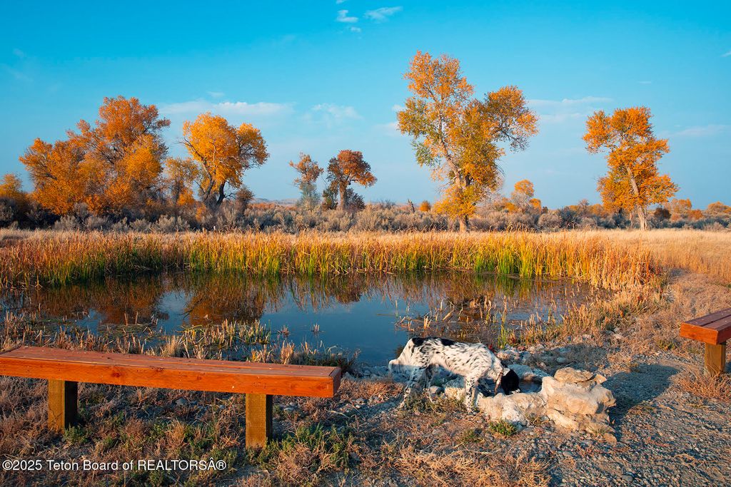 338 GAS HILLS Road, Riverton, WY 82501 photo 4