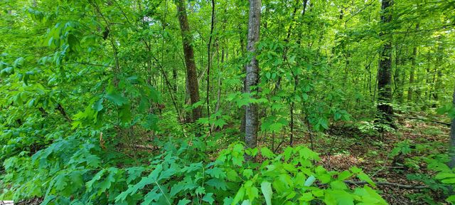 00 Lynden Loop, Westminster, SC 29693