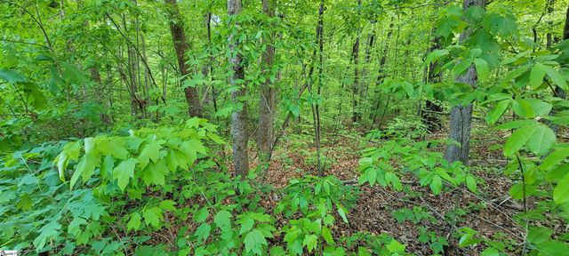 00 Lynden Loop, Westminster, SC 29693