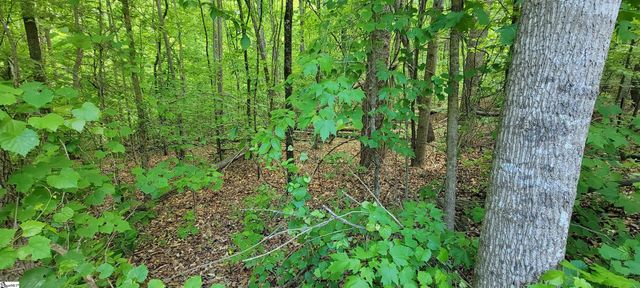 00 Lynden Loop, Westminster, SC 29693