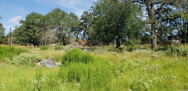 111 FLORES OAKS DR, Floresville, TX 78114