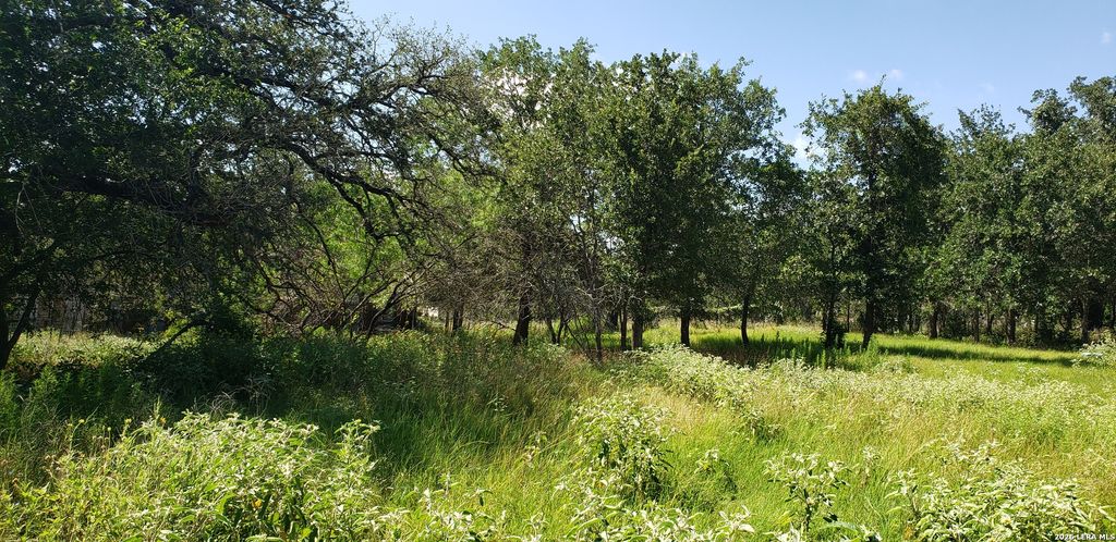 111 FLORES OAKS DR, Floresville, TX 78114