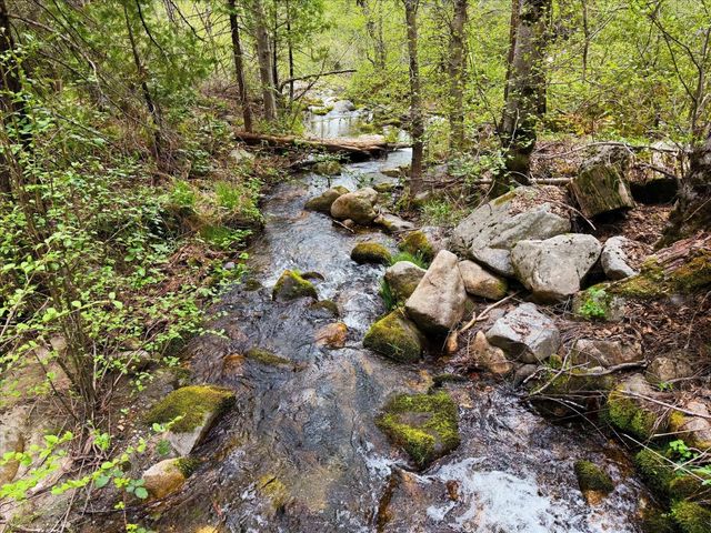 6132 Chowchilla Mountain Road, Mariposa, CA 95338