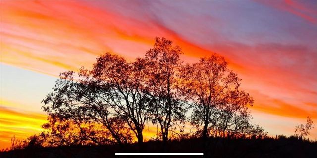 6132 Chowchilla Mountain Road, Mariposa, CA 95338