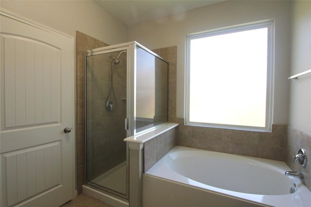 30723 Gardenia Trace Drive, Spring, TX 77386
