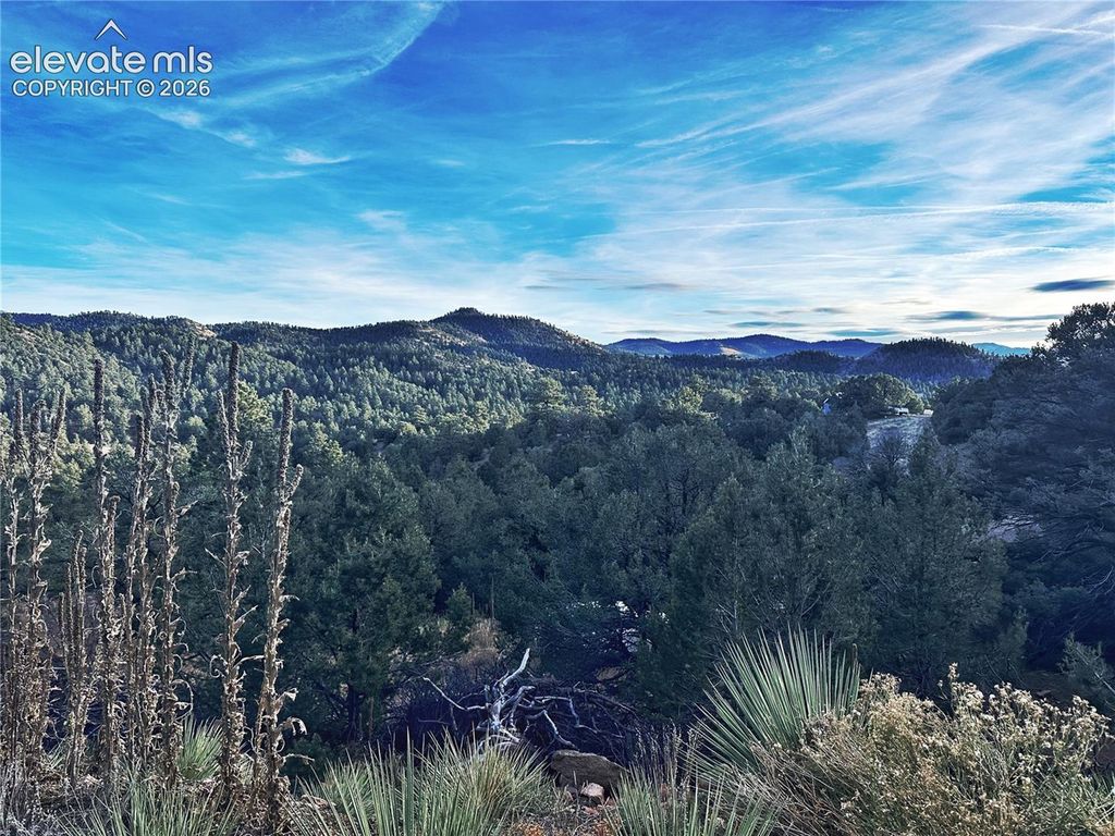 2973 Driftwood Road, Westcliffe, CO 81252 — photo 2