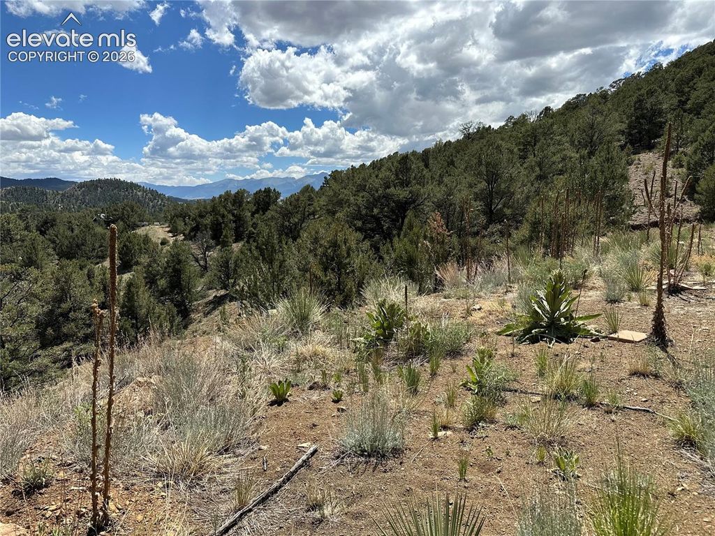 2973 Driftwood Road, Westcliffe, CO 81252 — photo 3