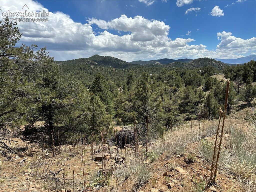 2973 Driftwood Road, Westcliffe, CO 81252 — photo 4