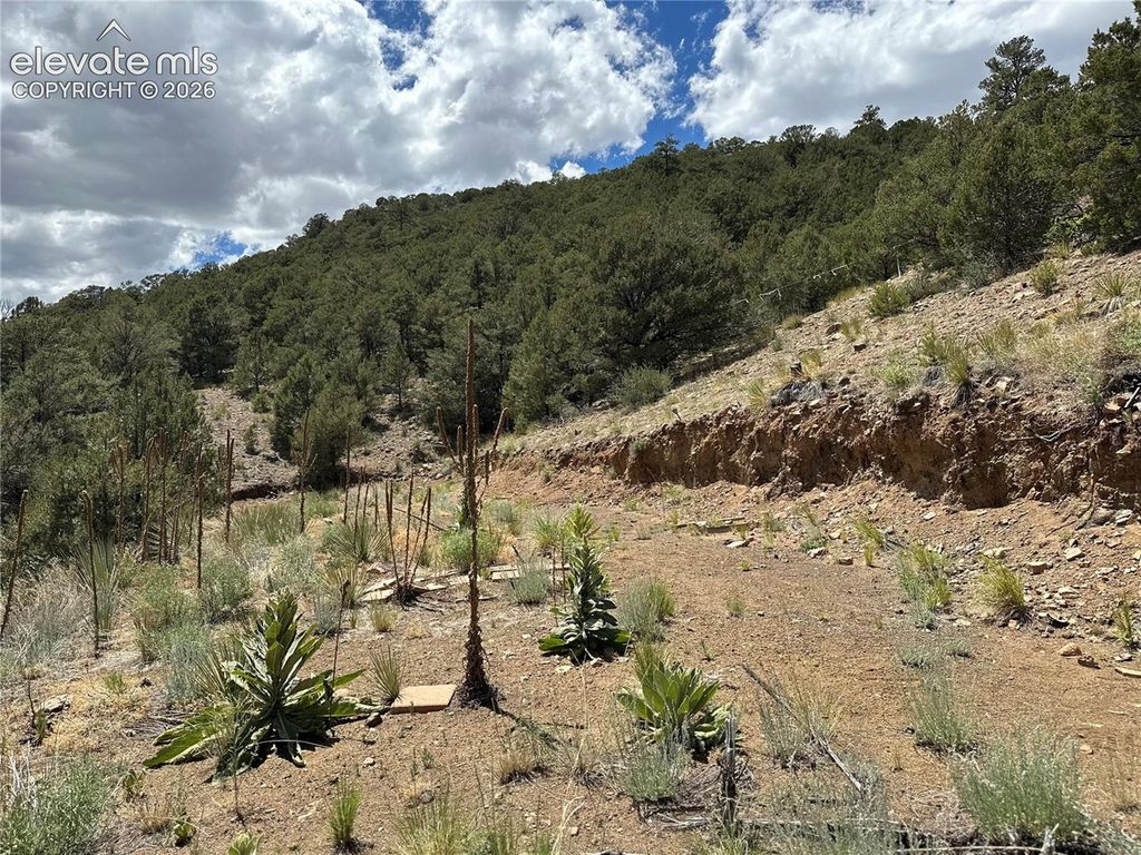 2973 Driftwood Road, Westcliffe, CO 81252 — photo 5