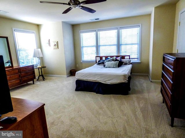 44529 BLUERIDGE MEADOWS DR, Ashburn, VA 20147