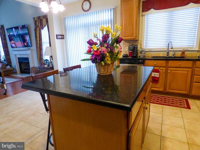 44529 BLUERIDGE MEADOWS DR, Ashburn, VA 20147