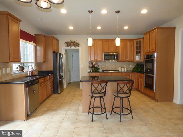 44529 BLUERIDGE MEADOWS DR, Ashburn, VA 20147