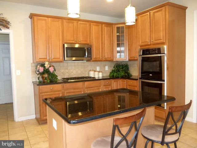 44529 BLUERIDGE MEADOWS DR, Ashburn, VA 20147