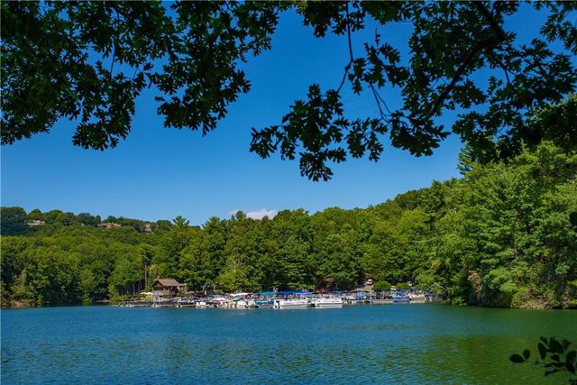 40 Treetopper Lane, Jasper, GA 30143