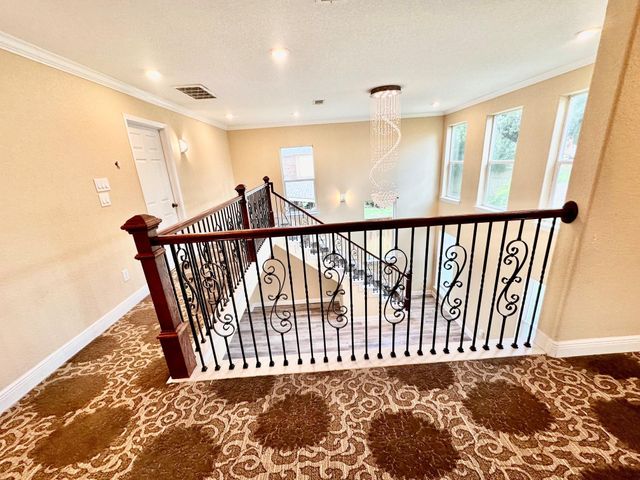 19119 Winding Trail Lane, Katy, TX 77449