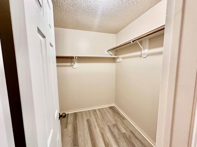 19119 Winding Trail Lane, Katy, TX 77449
