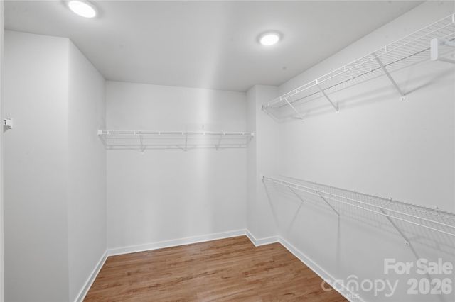 2013 White Cypress Court, Charlotte, NC 28216