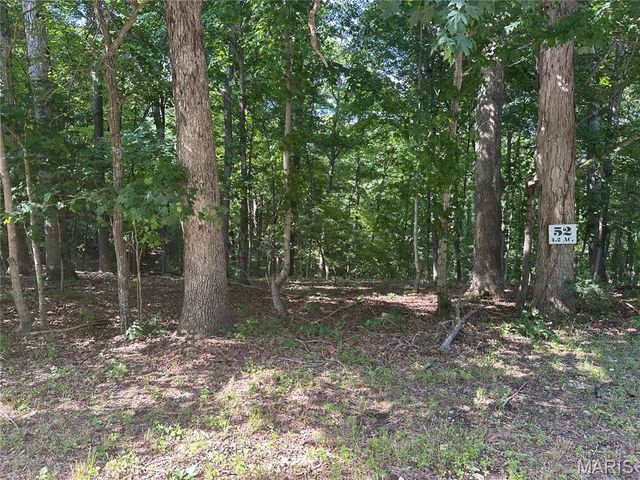 437 Big River View, Eureka, MO 63025