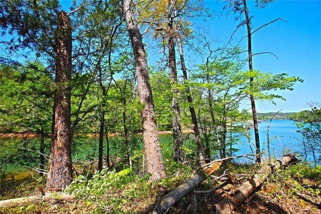 Lot 59 Cove Harbor, Six Mile, SC 29682