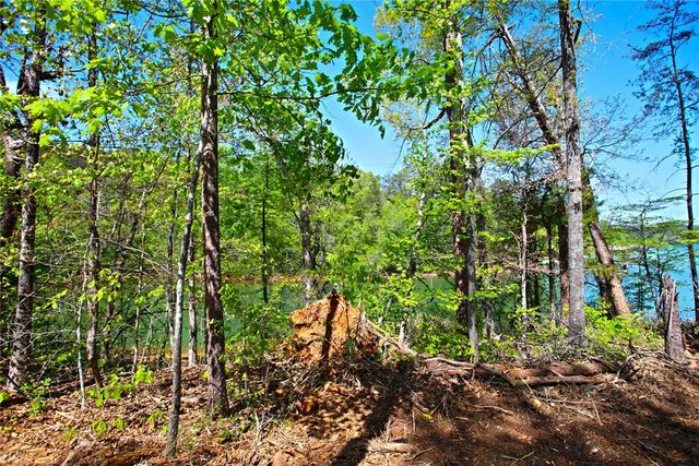 Lot 59 Cove Harbor, Six Mile, SC 29682