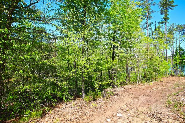 Lot 59 Cove Harbor, Six Mile, SC 29682