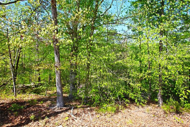 Lot 59 Cove Harbor, Six Mile, SC 29682