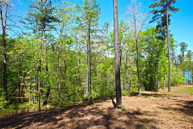Lot 59 Cove Harbor, Six Mile, SC 29682