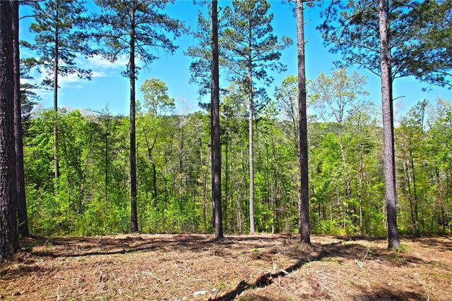 Lot 59 Cove Harbor, Six Mile, SC 29682