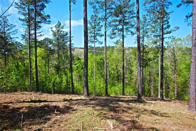 Lot 59 Cove Harbor, Six Mile, SC 29682