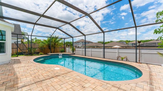 11708 CARROLLWOOD COVE DRIVE, Tampa, FL 33624